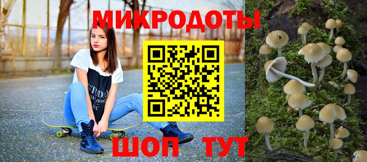 Псилоцибиновые грибы GOLDEN TEACHER Каменка