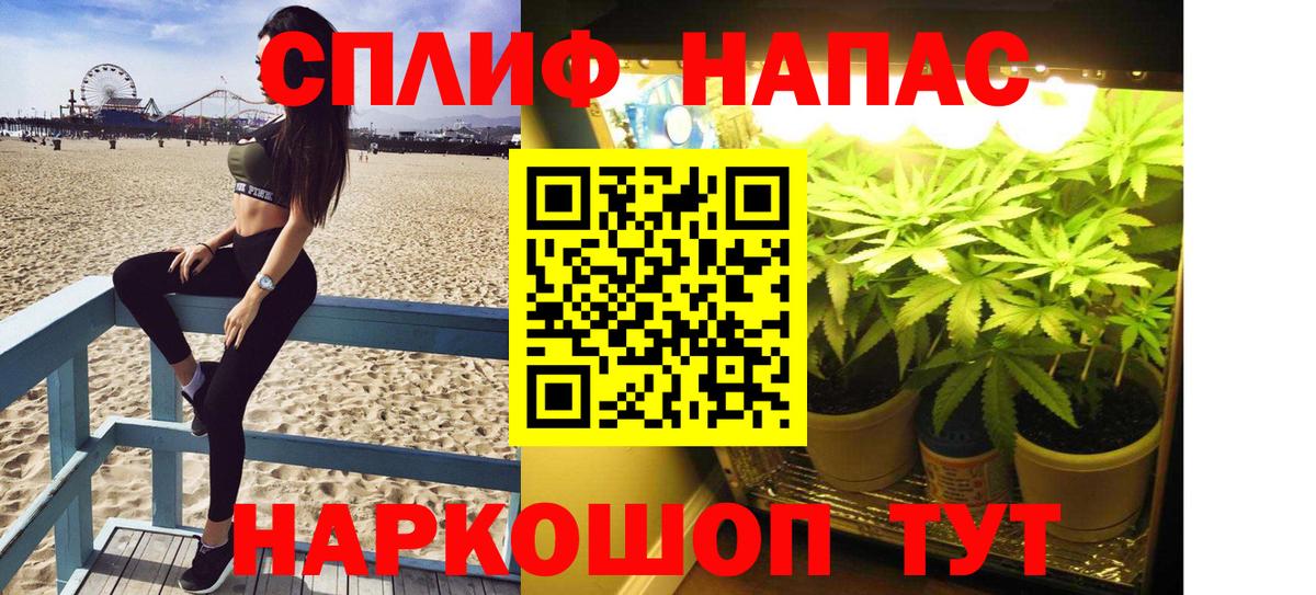 Бошки Шишки OG Kush  Вход с VPN  Марихуана SATIVA & INDICA  Каменка 